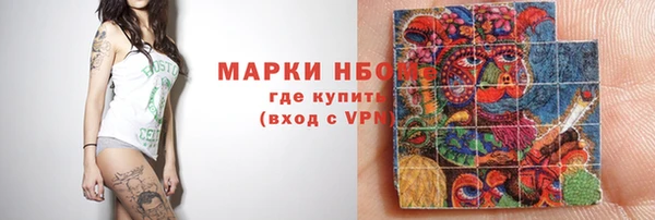 гидра Коряжма