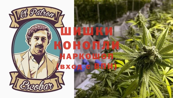 бошки Корсаков