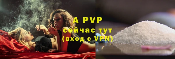гидра Коряжма