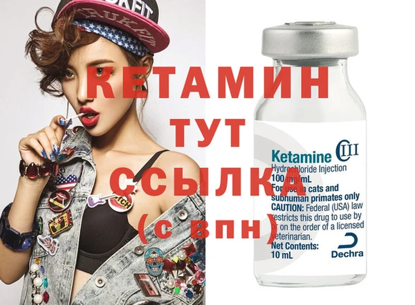 гидра Коряжма