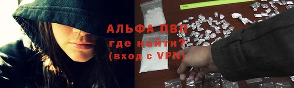 гидра Коряжма
