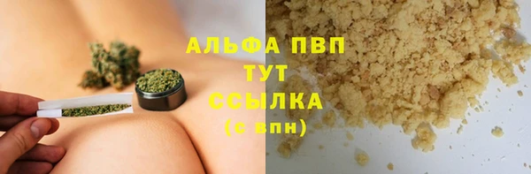 гидра Коряжма
