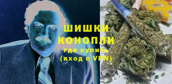 гидра Коряжма