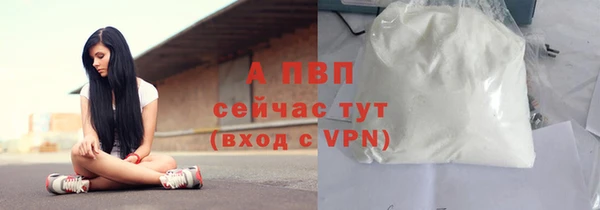 гидра Коряжма