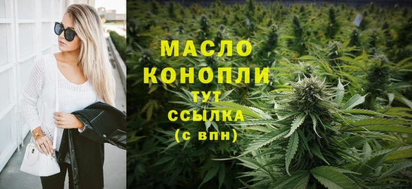 гидра Коряжма
