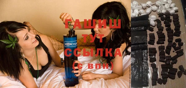гидра Коряжма