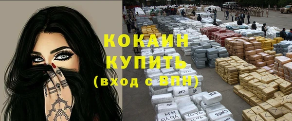 гидра Коряжма