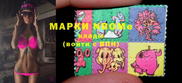 гидра Коряжма