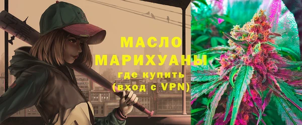 гидра Коряжма