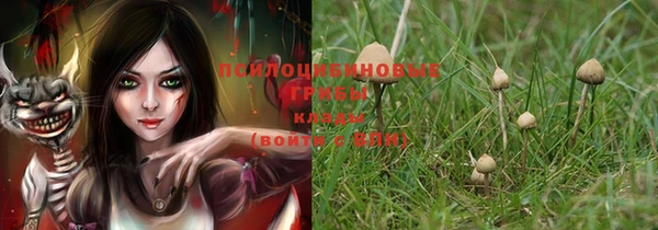 бошки Корсаков