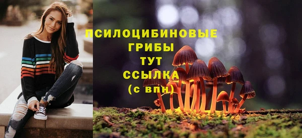 МДПВ Костерёво