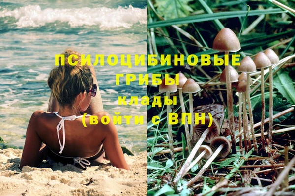 бошки Корсаков