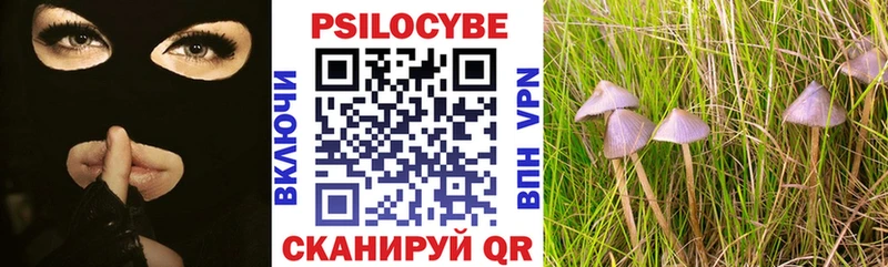 маркетплейс какой сайт  Моршанск  Псилоцибиновые грибы ЛСД 