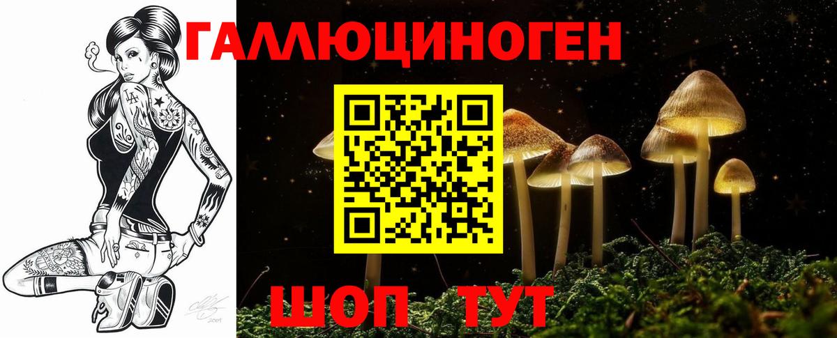 Галлюциногенные грибы прущие грибы Моршанск