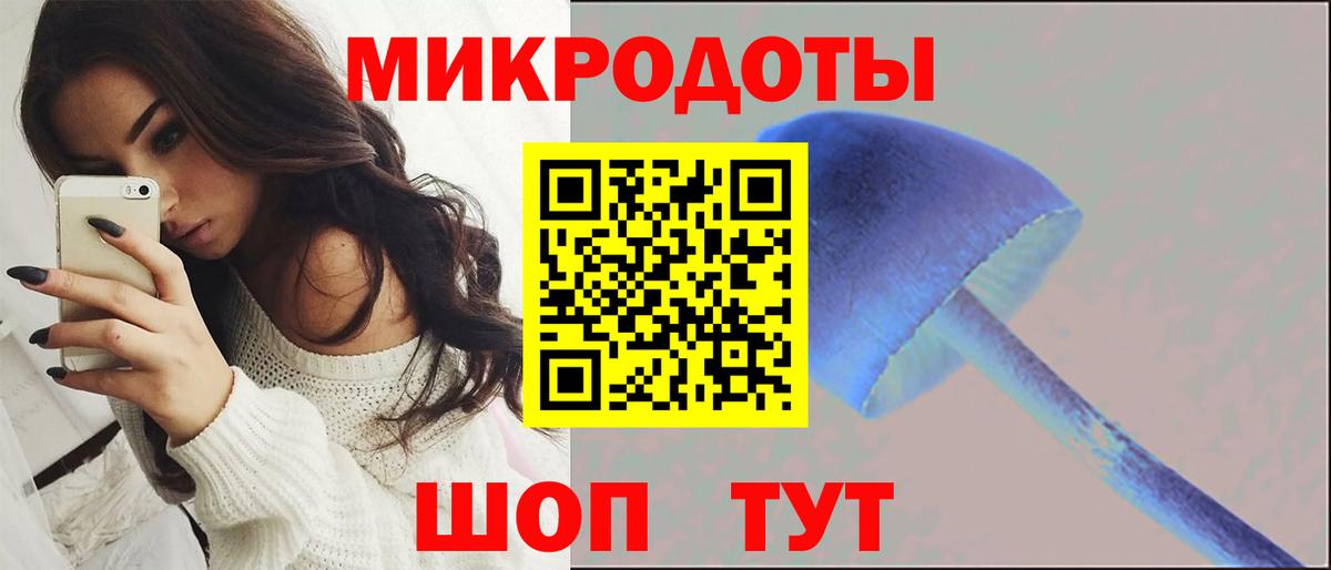 Моршанск  Галлюциногенные грибы Psilocybine cubensis  Вход с VPN  Псилоцибиновые грибы мицелий 