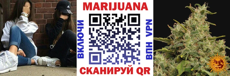 MEGA зеркало  продажа наркотиков  Моршанск  Шишки марихуана марихуана 